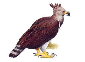Foto: Haastadler