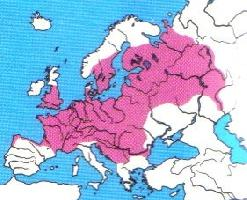 Foto: European bullhead - Vorkommen