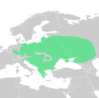 Foto: European green toad - Vorkommen