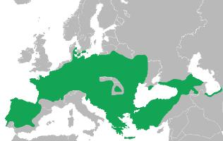 Foto: European tree frog - Vorkommen