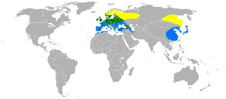 Foto: Eurasian siskin - Vorkommen