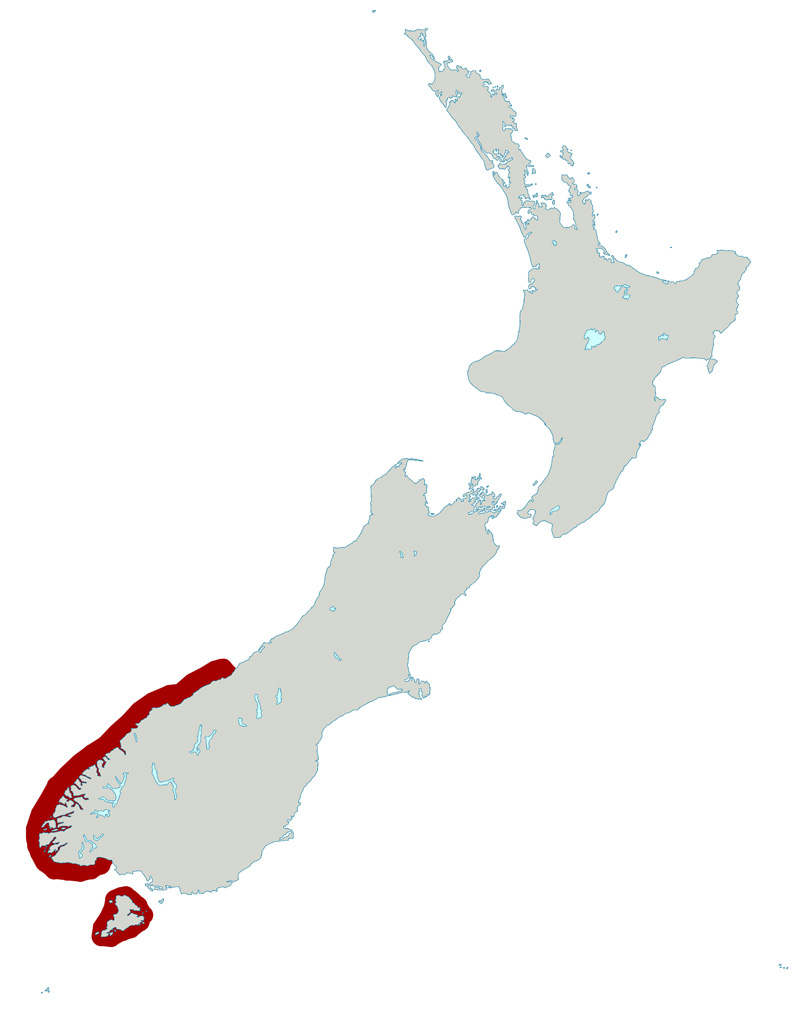 Foto: Fiordland penguin - Vorkommen