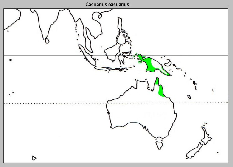 Foto: Southern cassowary - Vorkommen