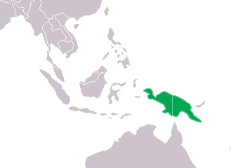 Foto: New guinea crocodile - Vorkommen